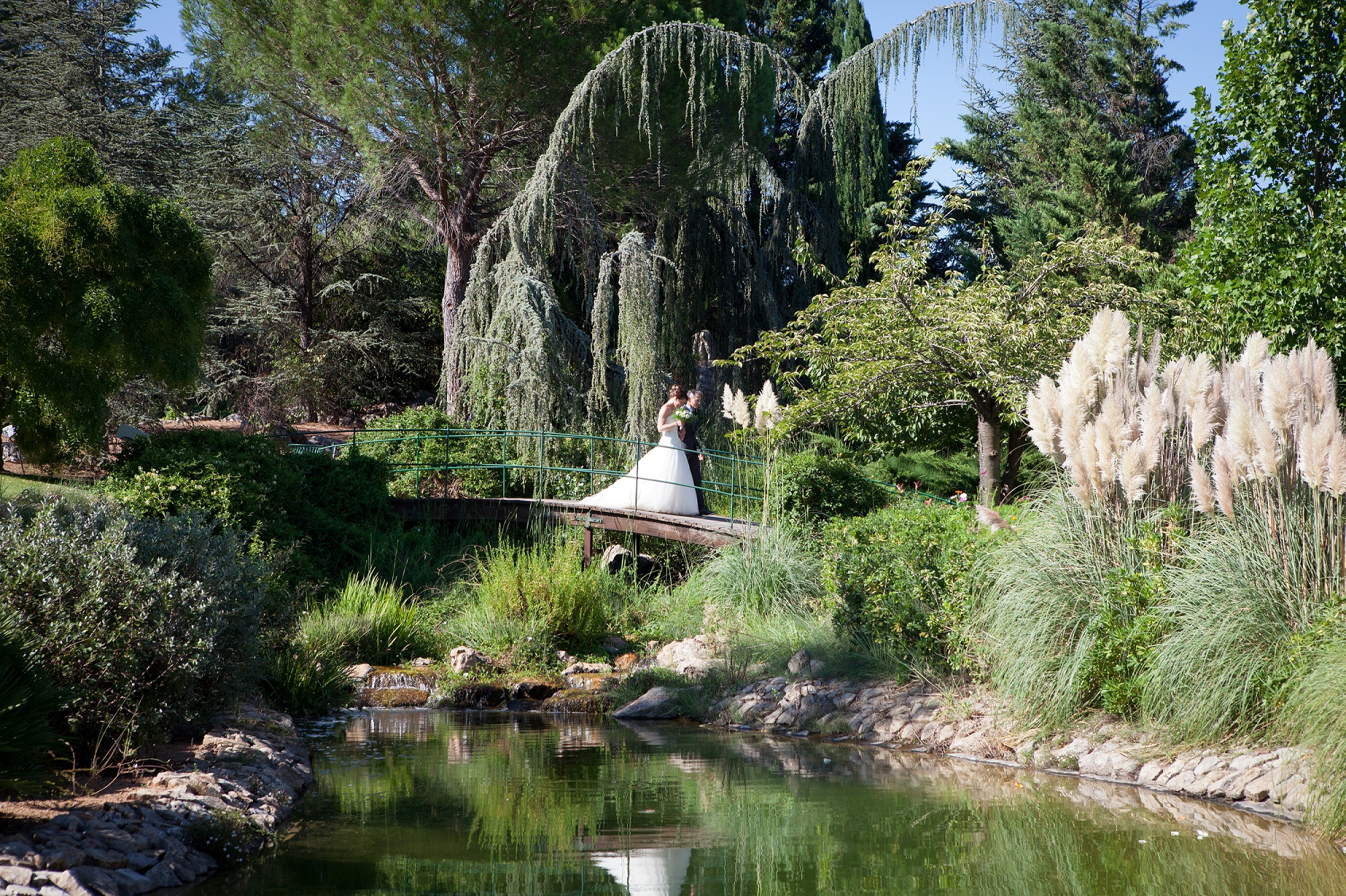 mariage luxe en Provence