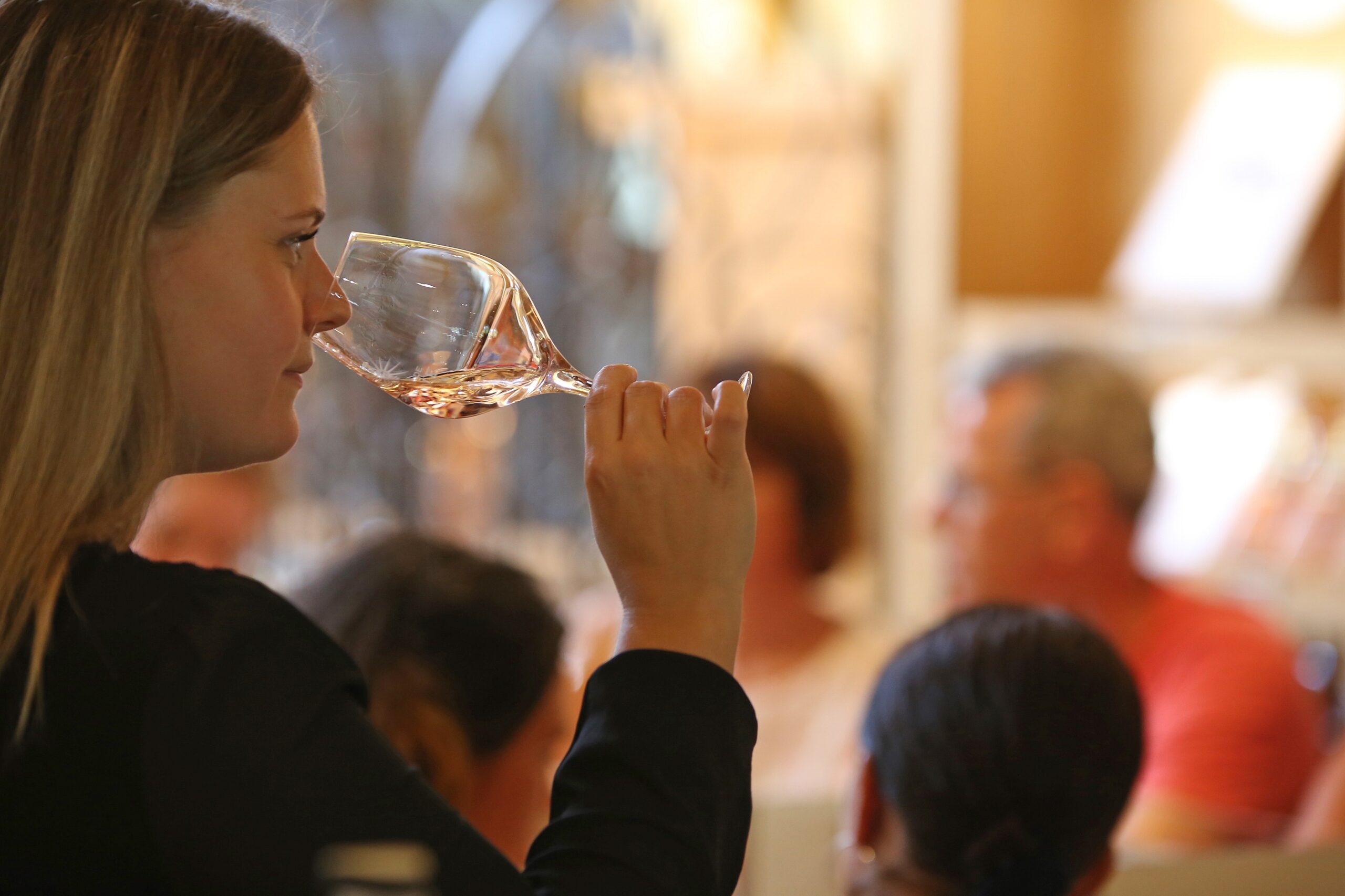 journée dégustation de vin