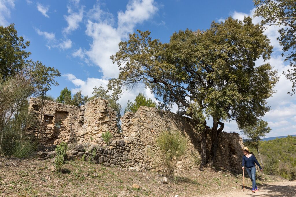 marché de la truffe à Aups